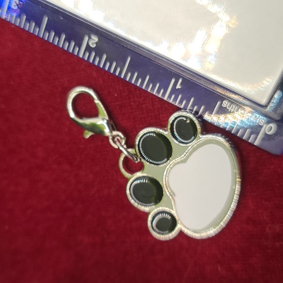 PET paw Keychain w your pets picture inserted in the open large pad area - Picture 2 of 4